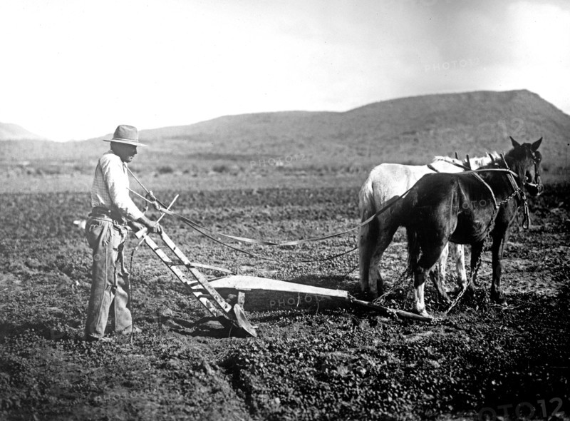 Salt River Project, [Arizona] Sacator Indian Reservation, farmer plowing a field ca.  between 1918 and 1928