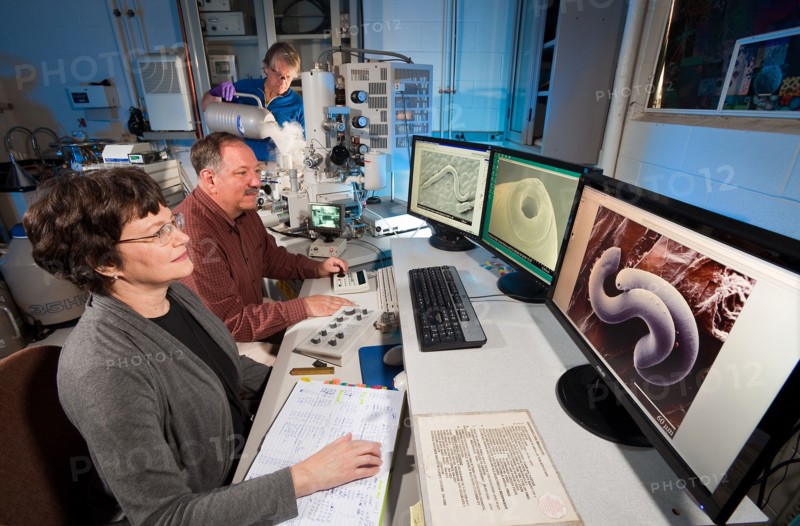 Workers use a low temperature scanning electron microscope (LT-SEM) to view anatomical structures needed to identify nematodes like the Parasitorhabditis nematode associated with pine trees and bark beetles on April 19, 2012.
