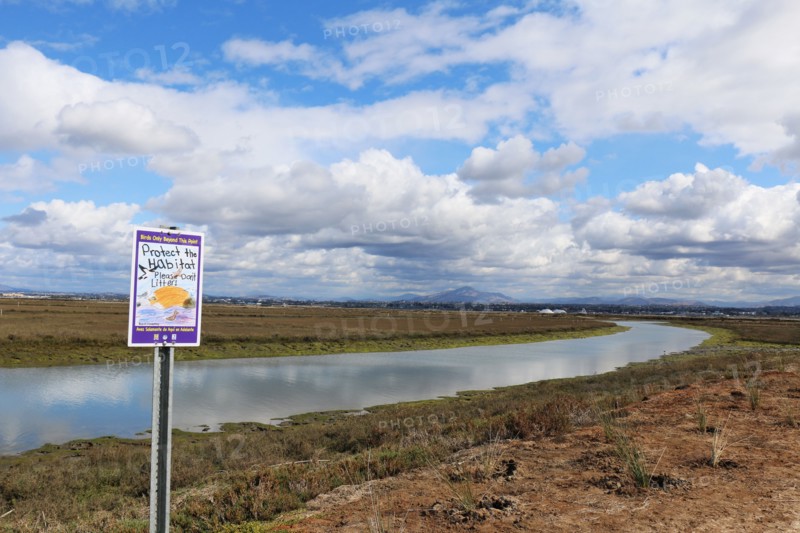 San Diego National Wildlife Refuge ca. 22 February 2018