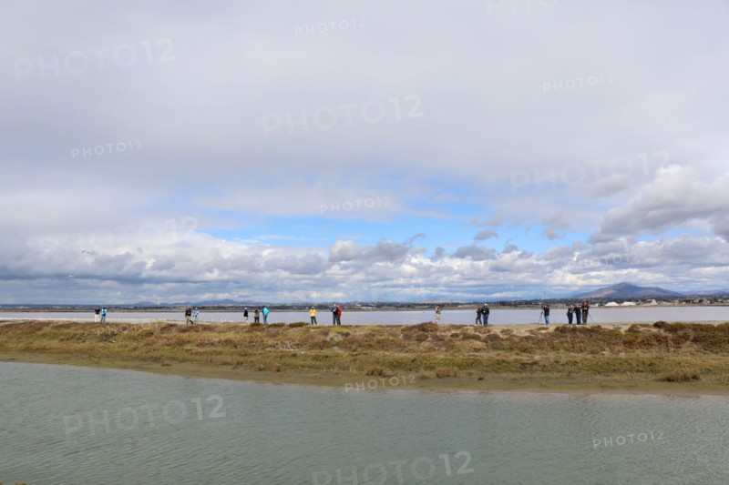 San Diego Bird Festival 2018 at San Diego National Wildlife Refuge ca. 22 February 2018