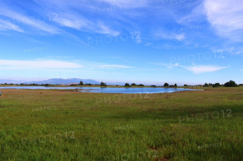 Vernal Pool at Santa Rosa Plateau