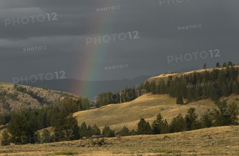 End of rainbow as it comes down into a valley Rainbow at Junction Butte in Yellowstone National Park; Date: 22 July 2015