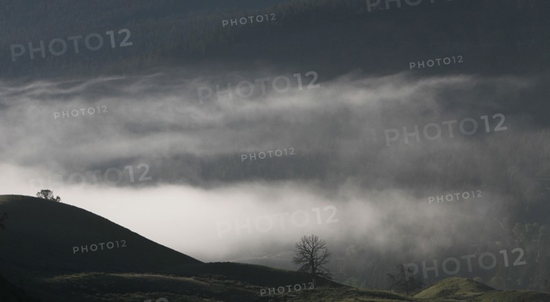 Low clouds in Soda Butte Valley in Yellowstone National Park; Date: 13 June 2015