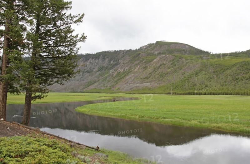 Madison River along the West Entrance Road in Yellowstone National Park; Date: 17 June 2014