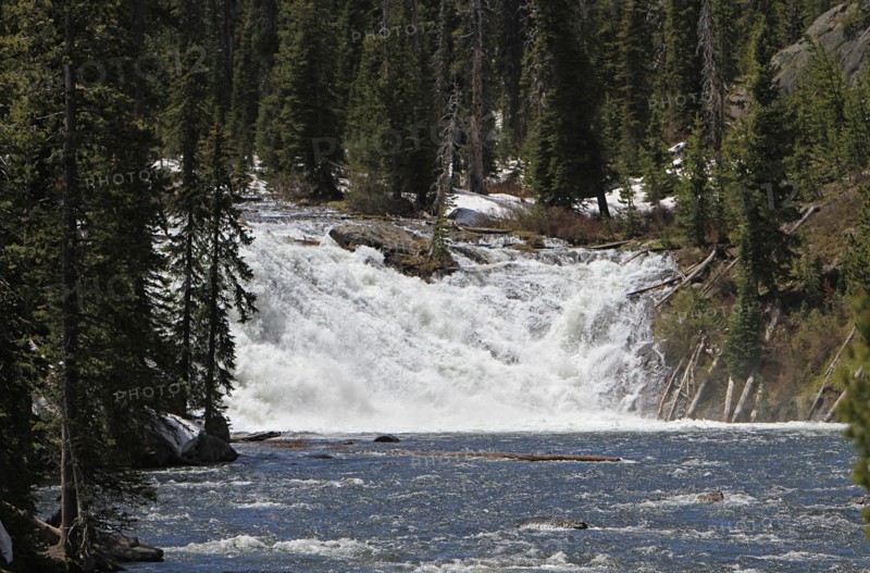 Lewis Falls in Yellowstone National Park; Date: 3 June 2014