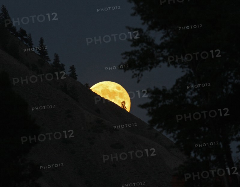 Moon rise over Mt. Everts near Mammoth Hot Springs in Yellowstone National Park; Date: 3 July 2012