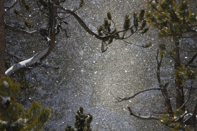 Snowfall at Canyon in Yellowstone National Park; Date: 22 November 2013