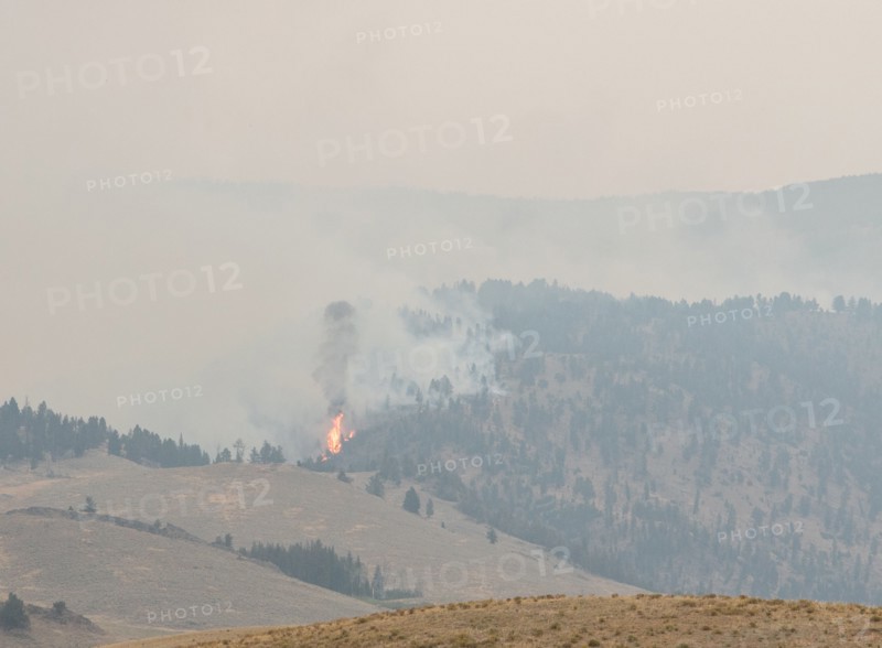 Buffalo Fire near Slough Creek in Yellowstone National Park; Date: 30 August 2016