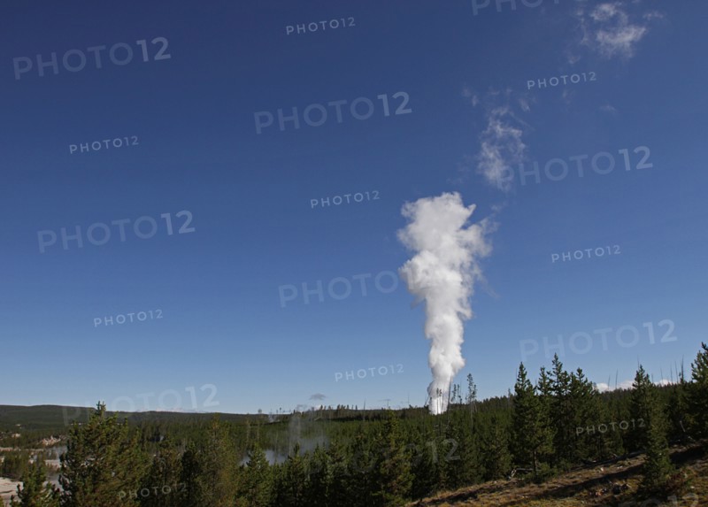 Steam phase of Steamboat Geyser, Norris Geyser Basin in Yellowstone National Park; Date: 4 September 2014