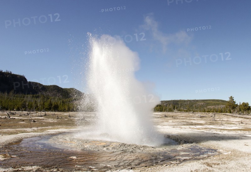 A wide column of water shoots out of a pool at an angle. Jewel Geyser, Biscuit Basin in Yellowstone National Park; Date: 28 April 2015