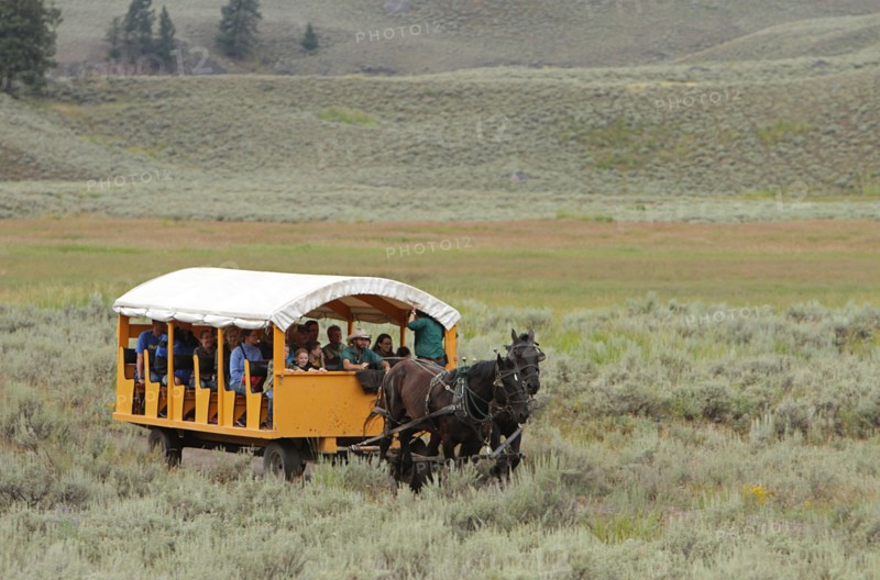 Old West Dinner Cookout wagon on Yancey's Hole trail in Yellowstone National Park; Date: 5 August 2014