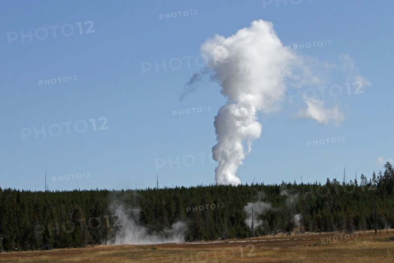 Steam phase of Steamboat Geyser, Norris Geyser Basin in Yellowstone National Park as seen from Elk Park ; Date: 4 September 2014
