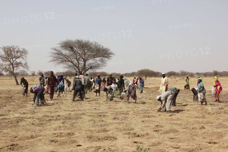 Niger - People in a field (probably planting seeds) in May 2015