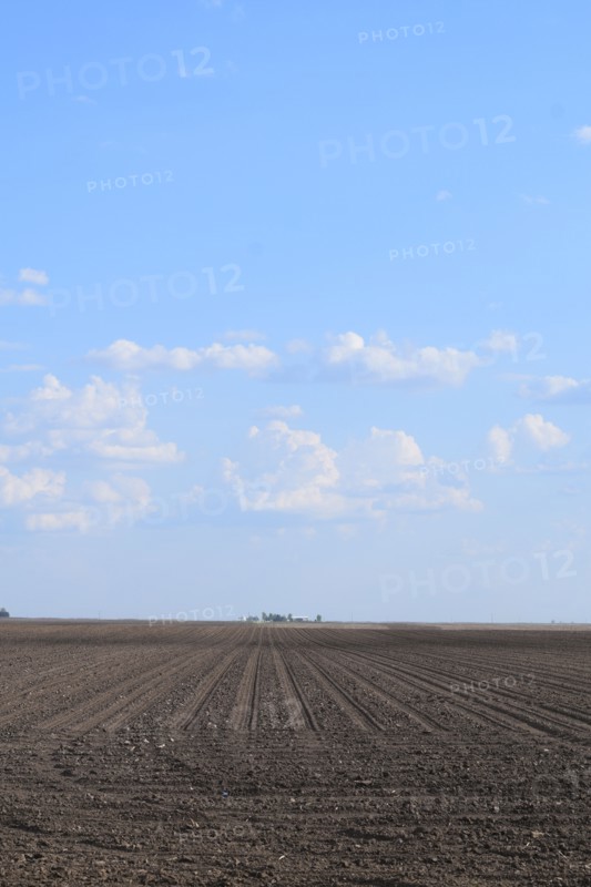 Recently planted farmland in east central Illinois