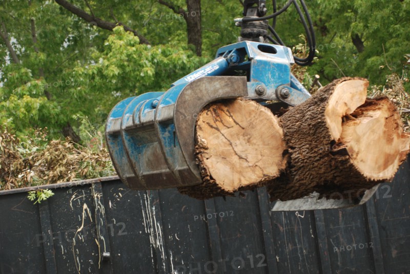 A grapple truck loading large brush and remains of a cut tree into a truck