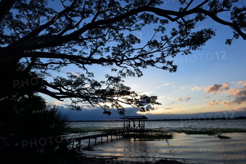 Pier at Lake Ariana - Auburndale, FL