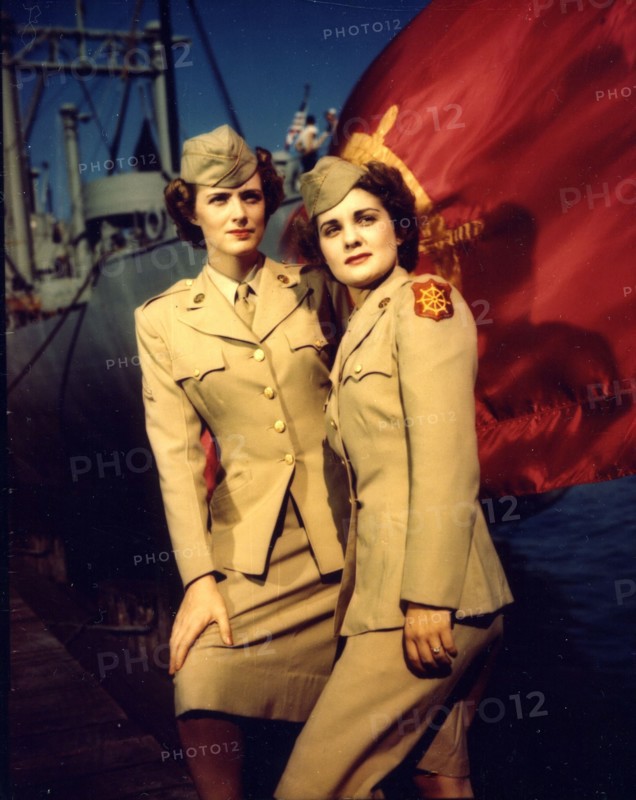 The Transportation Corps flag, WWII