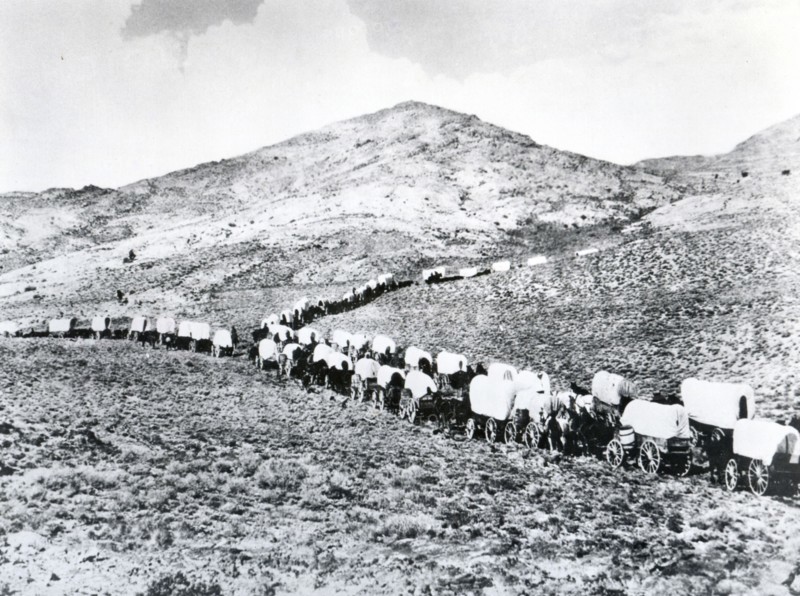 Wending their way through valley