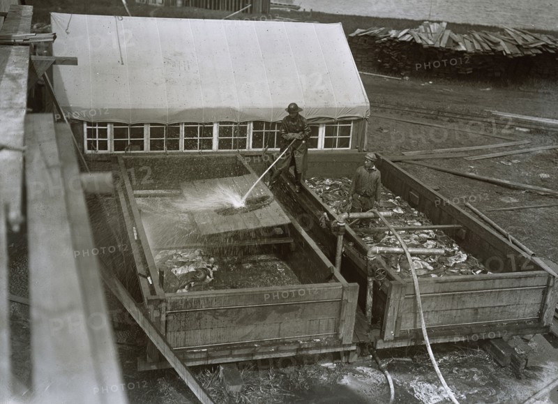 Hosing skins