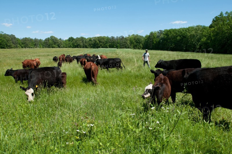 2020 USDA Visit to Tuckahoe Plantation