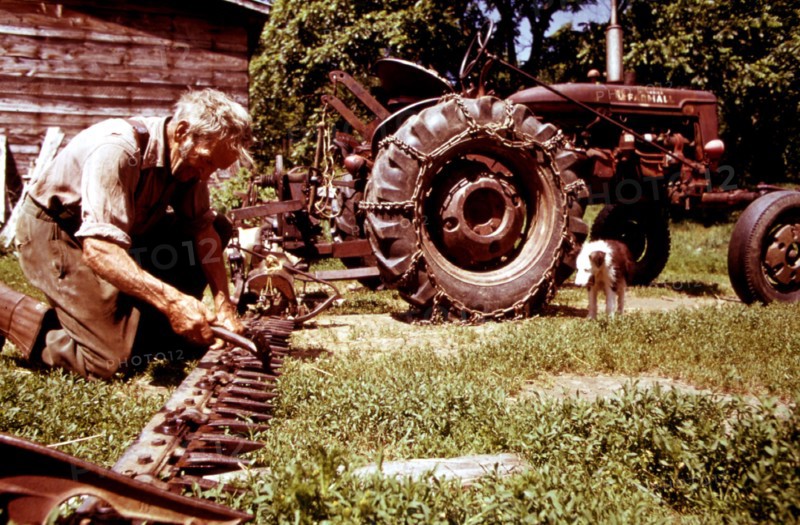 Old farmer from Beanville