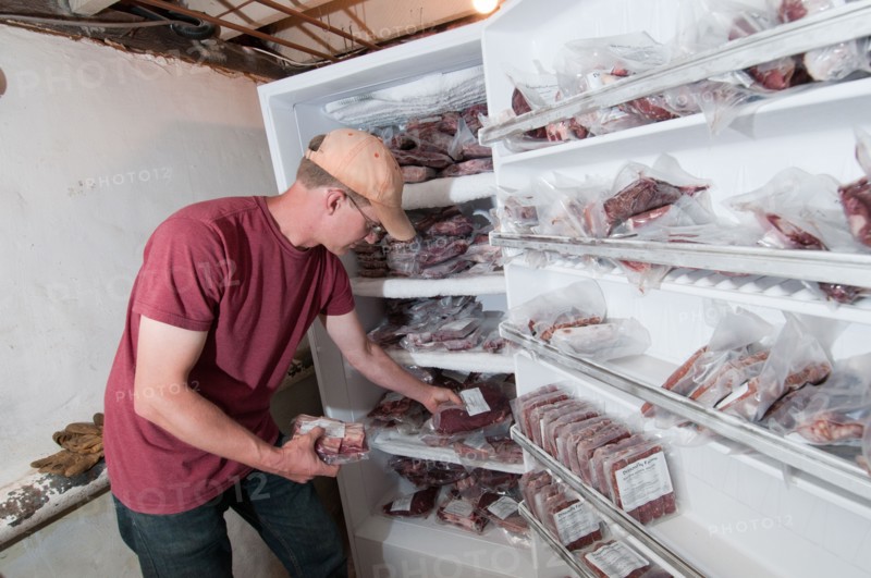 A farmer takes inventory of beef