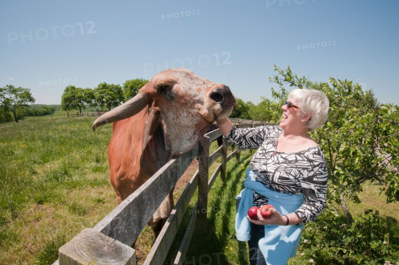 A woman farm owner poses for a photo with her pet Brahma cow