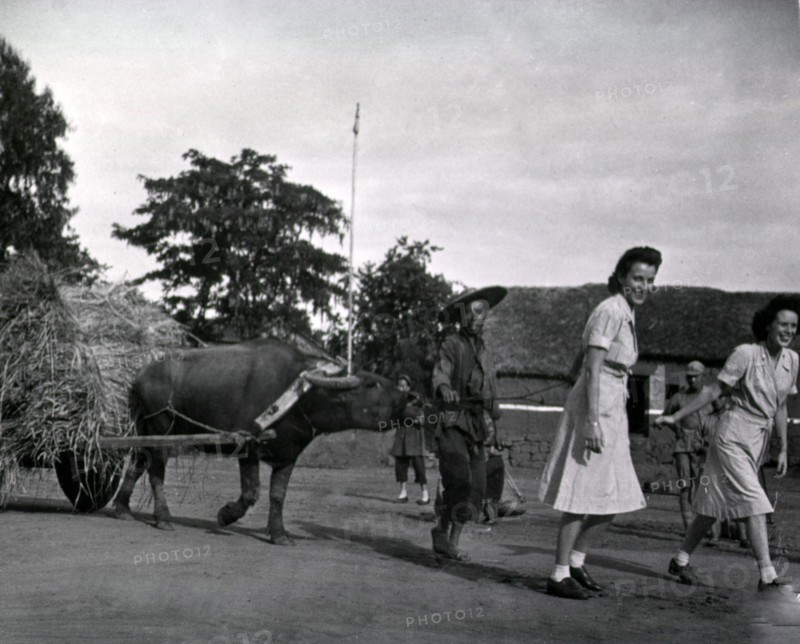 American nurses in Kunming