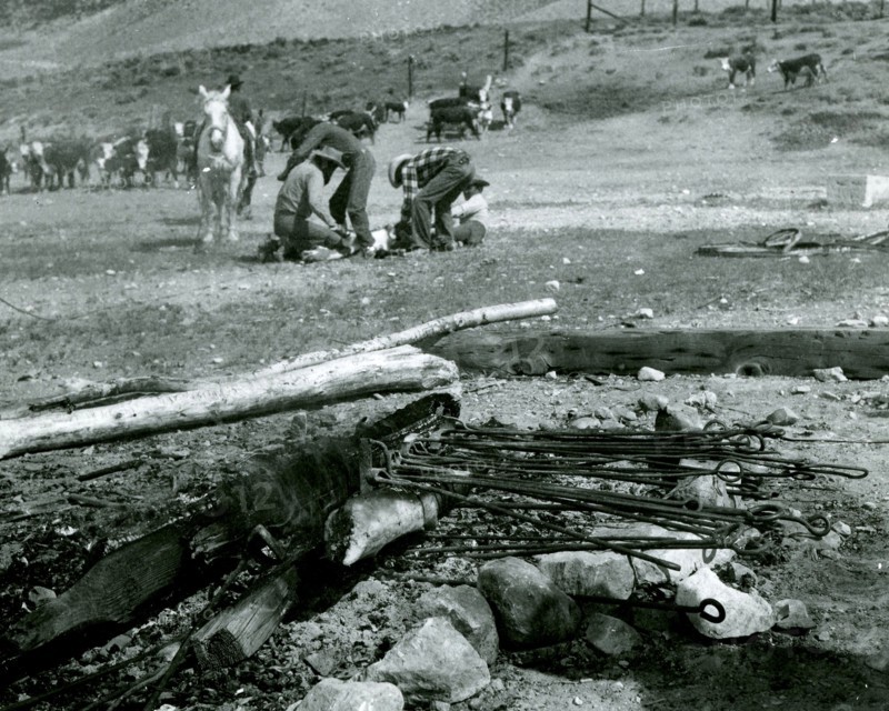Cattle Brands (branding irons in fire) 1936