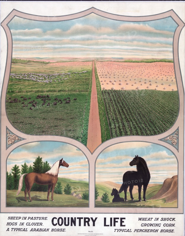Country life ca. 1904