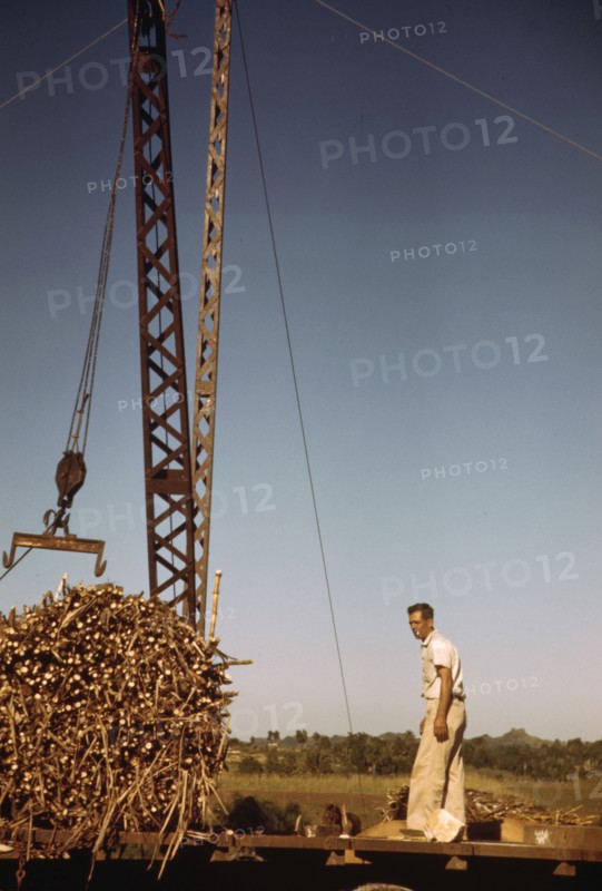 Crane at a 'central' sugar cane gathering place