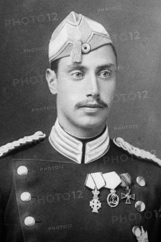 Crown Prince of Denmark