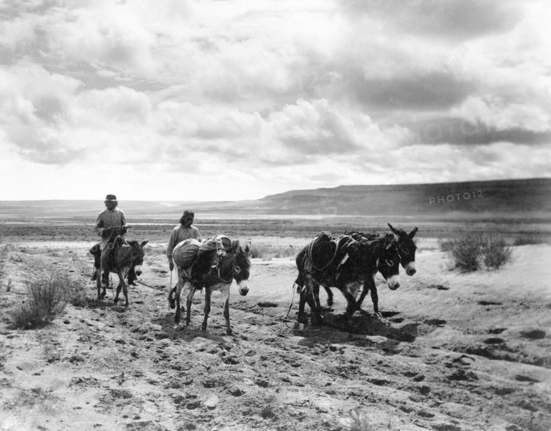 Edward S. Curtis Native American Indians