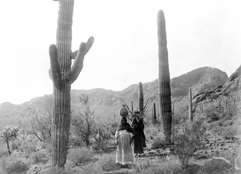 Edward S. Curtis Native American Indians