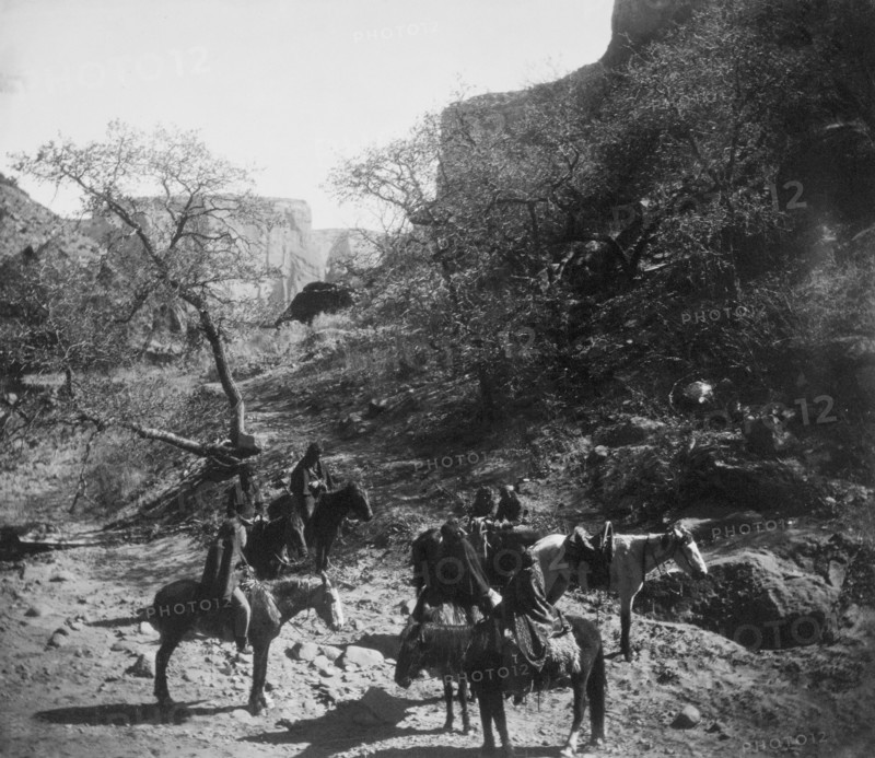 Edward S. Curtis Native American Indians