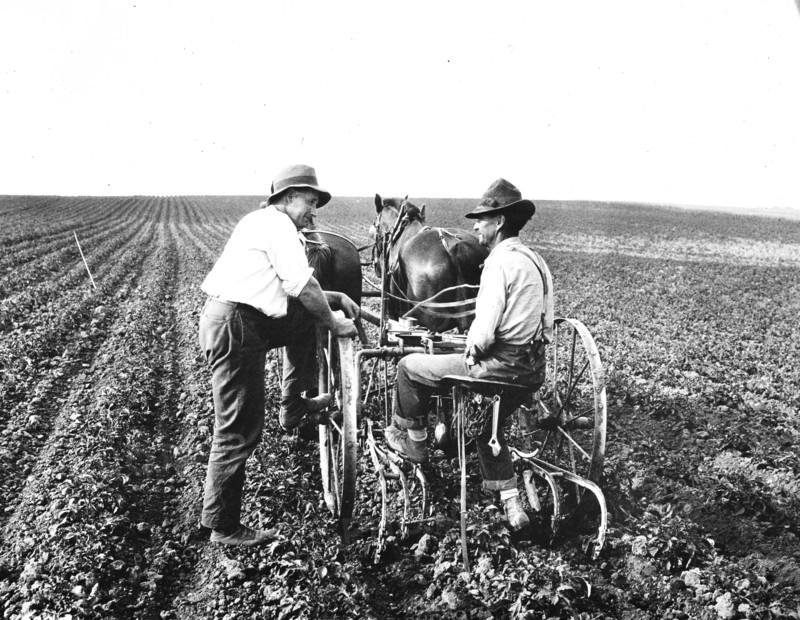 Farmers talking in field