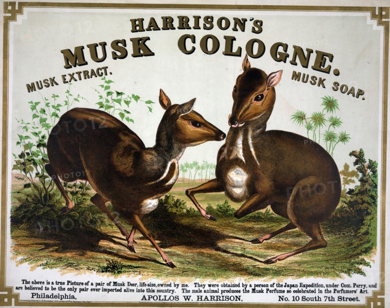 Harrison's musk cologne. Philadelphia
