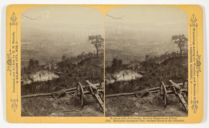 Historical Sycamore Tree; Orchard Knob in the distance
