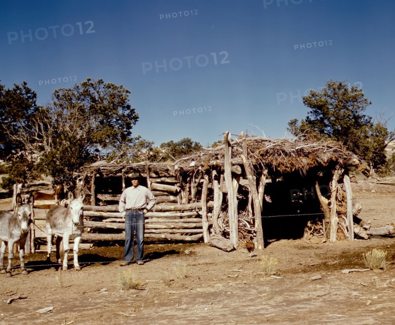 Homesteader with his work
