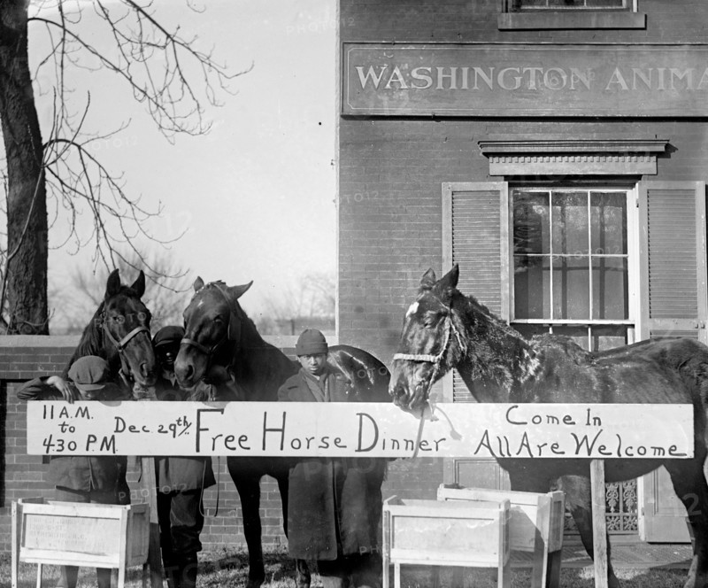Horse Christmas party December 29