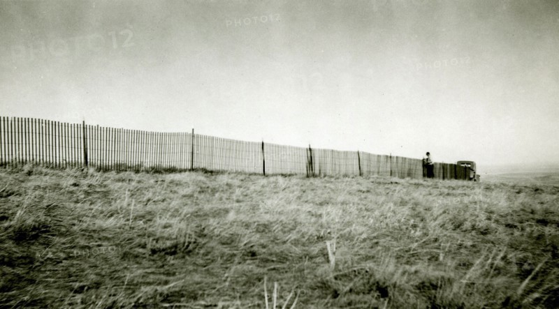 Man Working on Fence ca 1947