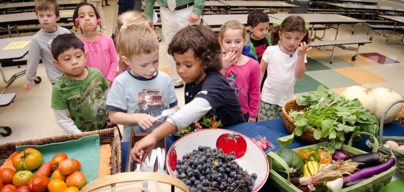 National School Lunch Week