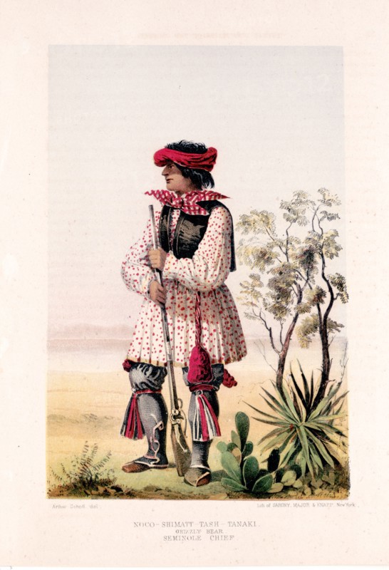 Noco-shimatt-tash-tanaki