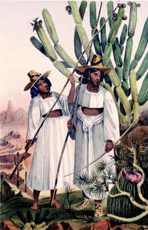 Papagos