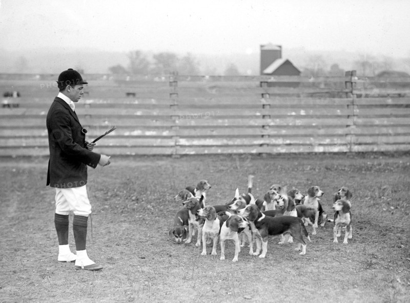 Raymond Belmont at the National Beagle Club of America