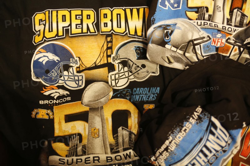 Customs and Border Batrol Support for Superbowl