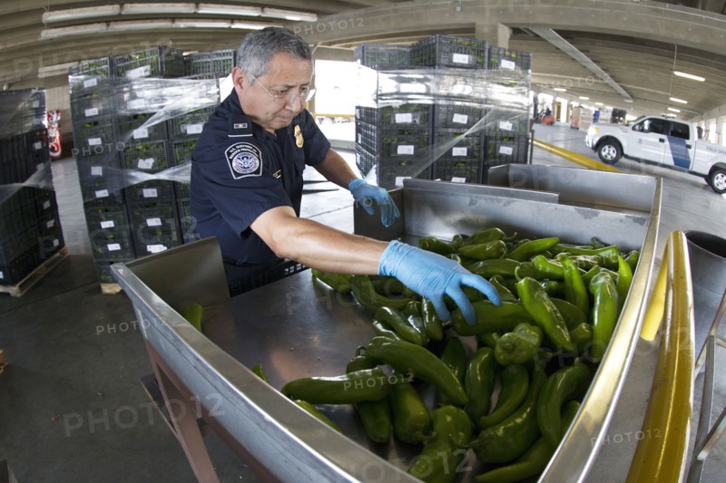 Agriculture Specialist inspects a shipment of peppers