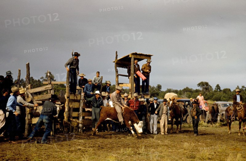 Rodeo at small town New Mexico Fair