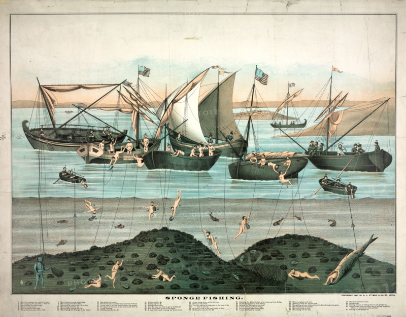 Sponge fishing ca 1897