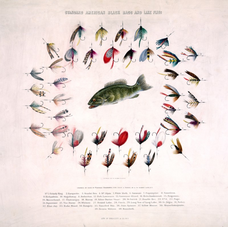 Standard American black bass and lake flies
